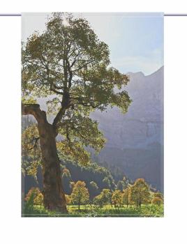 Scheibenhänger Herbstsonnenmomente – rechteckig Gardine mit Motiv